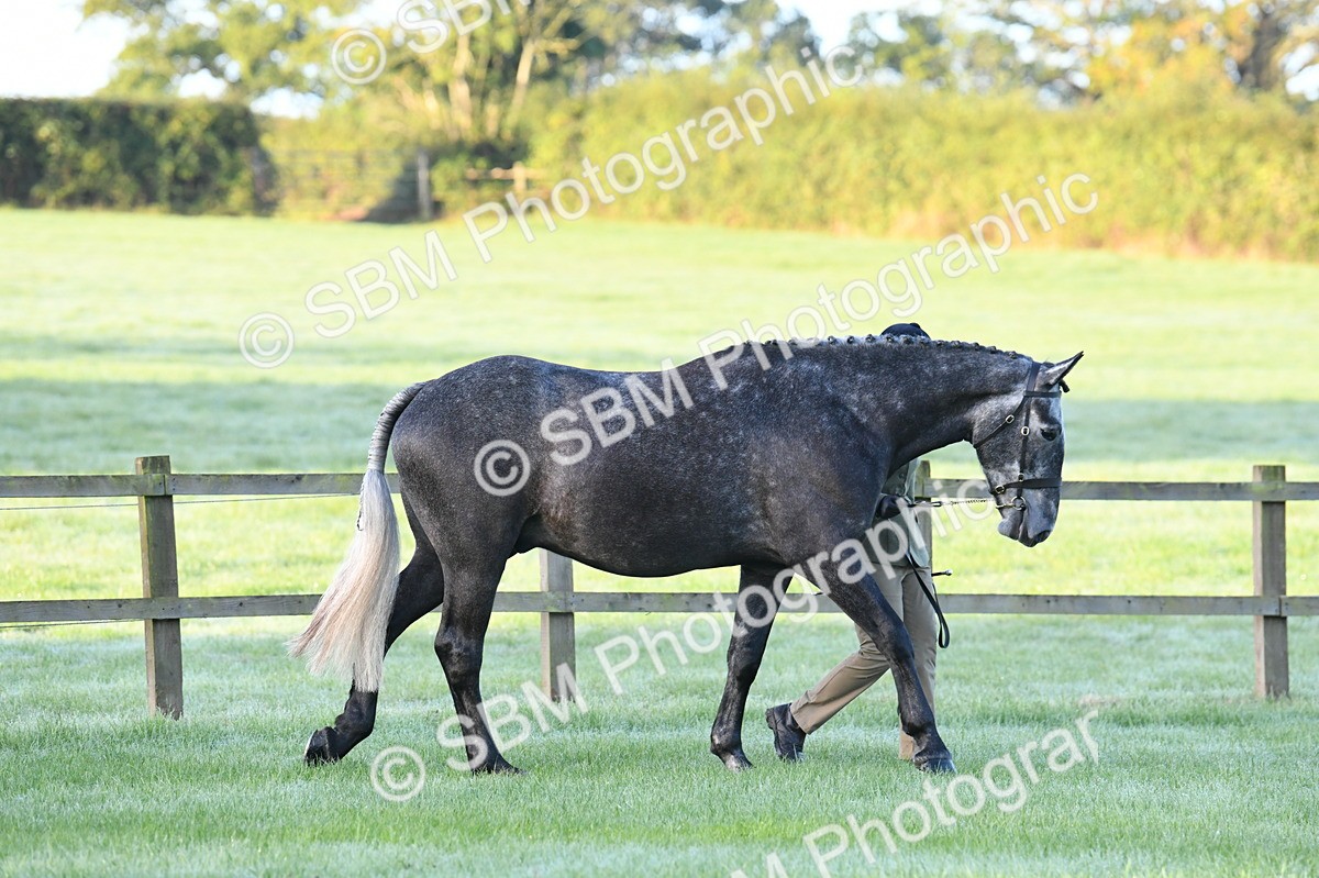 SBM_32420 - S15 - Condition & Turnout In Hand