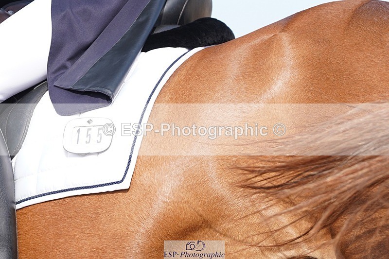 250404-160806-07631 - 155-Edward.Johnson-Newton.Domino