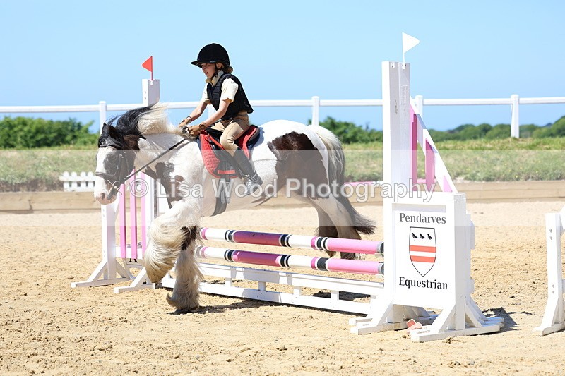 3E7A2594 - Class 4/5: 60cm Open Teams and Individuals