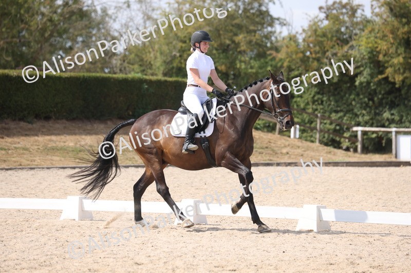 20260815-1035 - Class 6 - Novice 2
