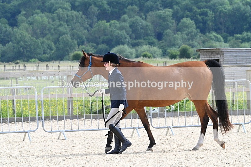 WJ7_8177 - Time 16:10 to 16:25