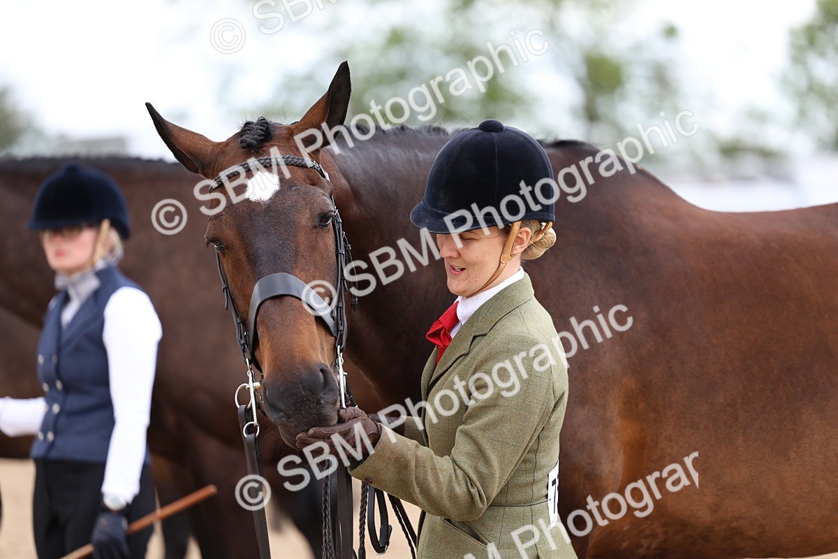 SBM_05709 - Class 28 - IH Veteran Horse