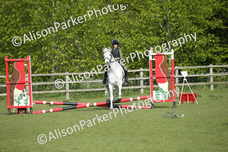 20260426-0165 - Class 13 - Rookie Jumping 50cm