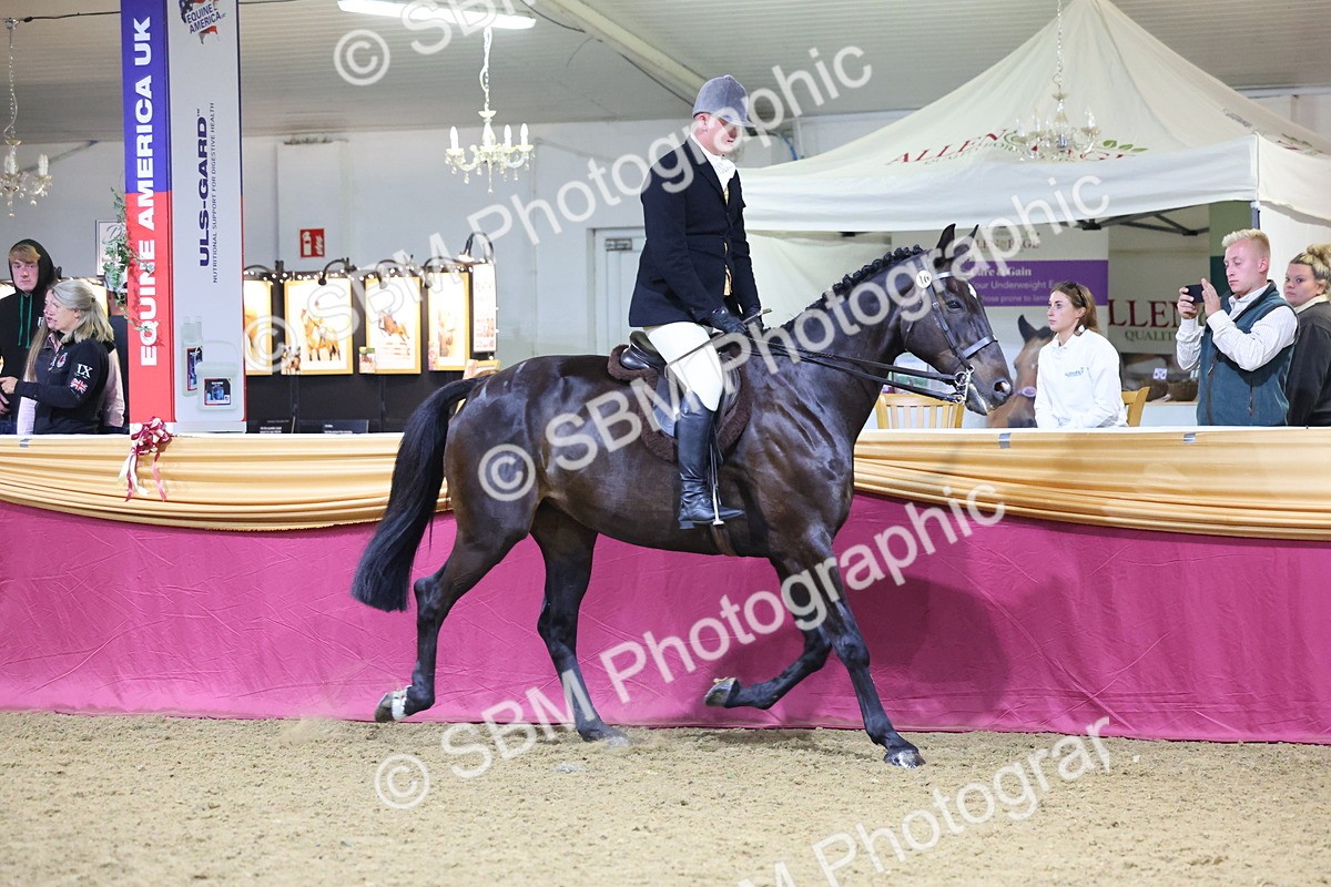 0B8A4466 - Class O Ridden Show Horse Champ