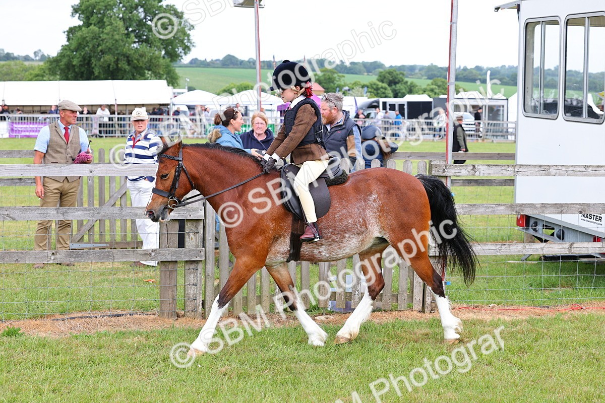 SBM_08579 - Class 42-43 - LIHS BSPS Heritage Working Sports Pony