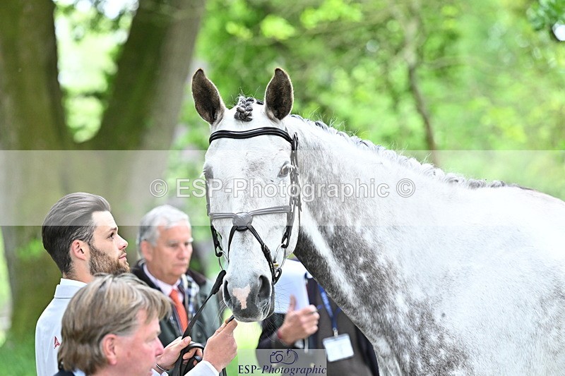 250521A-152454-00495 - B-311-Barnie.Brotherton-WHIXLEY.QUALITAS