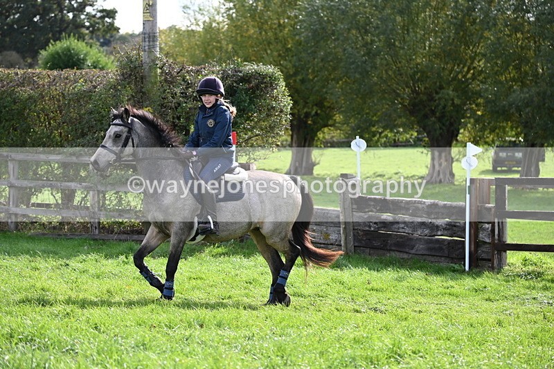 WJ6_4731 - Time 15:01 to 15:34