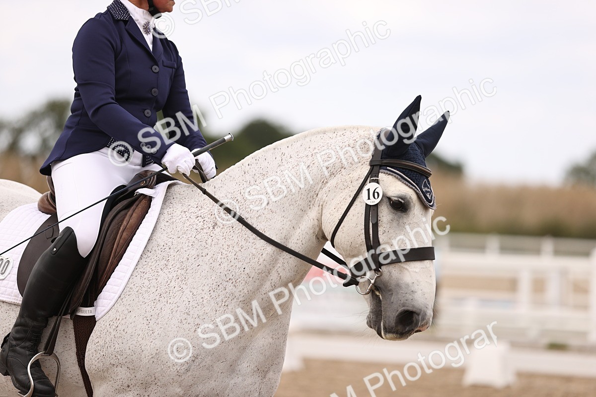 SBM_05919 - Class 37 Novice 5