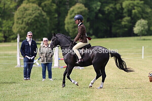 IMG_3385 - Working Hunter