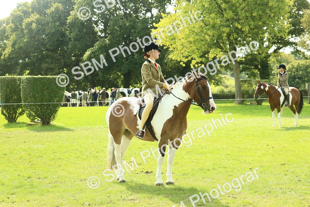 SBM_67668 - S56 - Coloured Pony Ridden