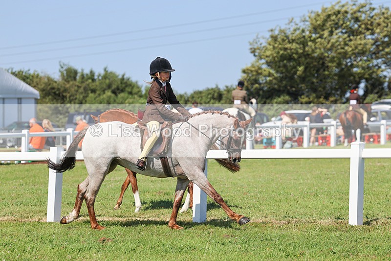 IMG_1903 - Class 33: Show Pony 148cm and under