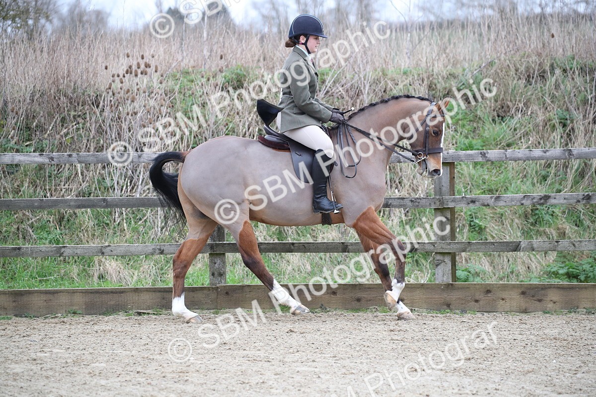 SBM_004660 - Class 5-9 - NPS In Hand-Show Hunter-Intermediate Ridden Inc Ridden Championship