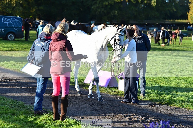 231022-085724-21467 - 646-SKIPTOTHEGOODBIT-Sophia.Mcdonald-TrotUp+SJ