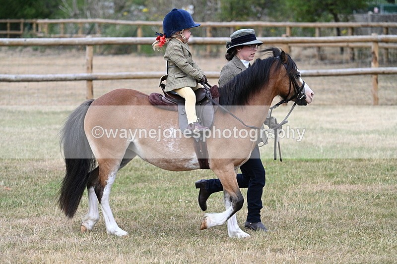 WJ7_9644 - Class 1 Lead Rein Pony