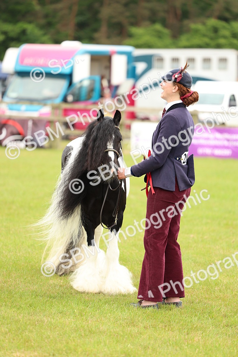 SBM_06343 - Class 39-41 TGCA In Hand and Ridden