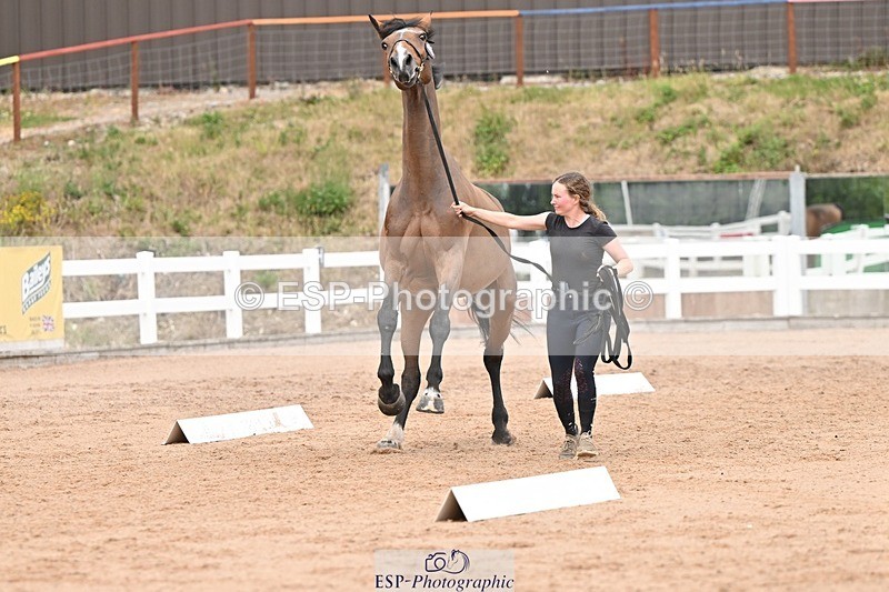 250716-161958-02569 - Trot Up 3.30 to 4.30