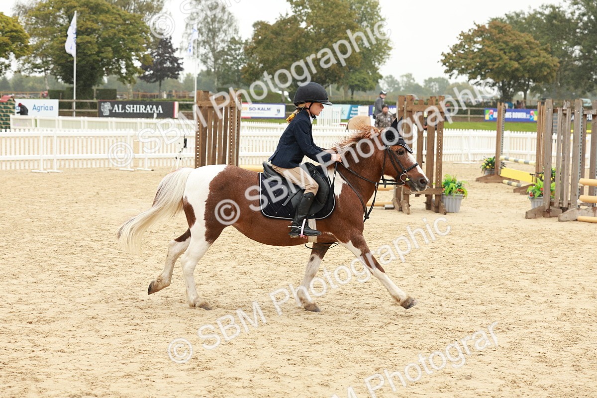 SBM_71071 - J14 - Junior Pony 65cm Championship