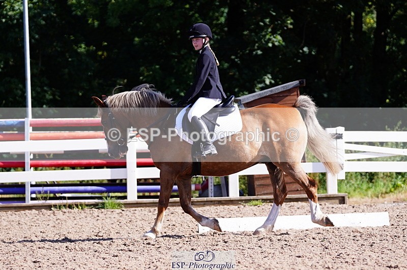 240809A-091222-00174 - Dressage Competition