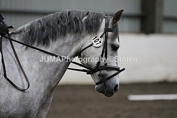 SIAL4062 - CAbin Dressage 5th july 2025