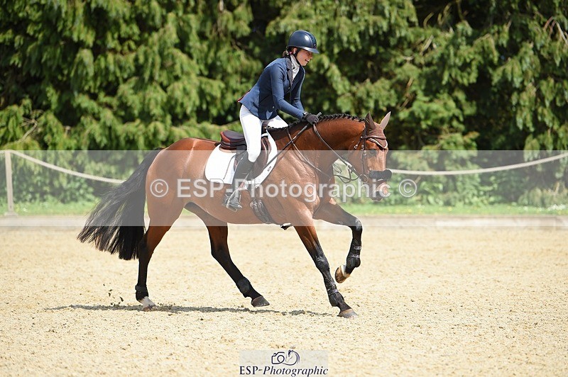 230528-152142-18987 - 171-SLANEYSIDE_COOLEY-Lara_Chapple-SUNTrotUp+SJ