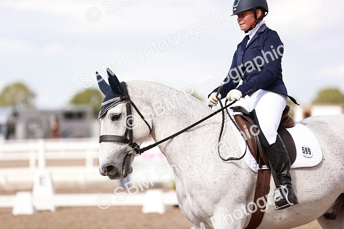 SBM_06556 - Class 39 - Medium 3