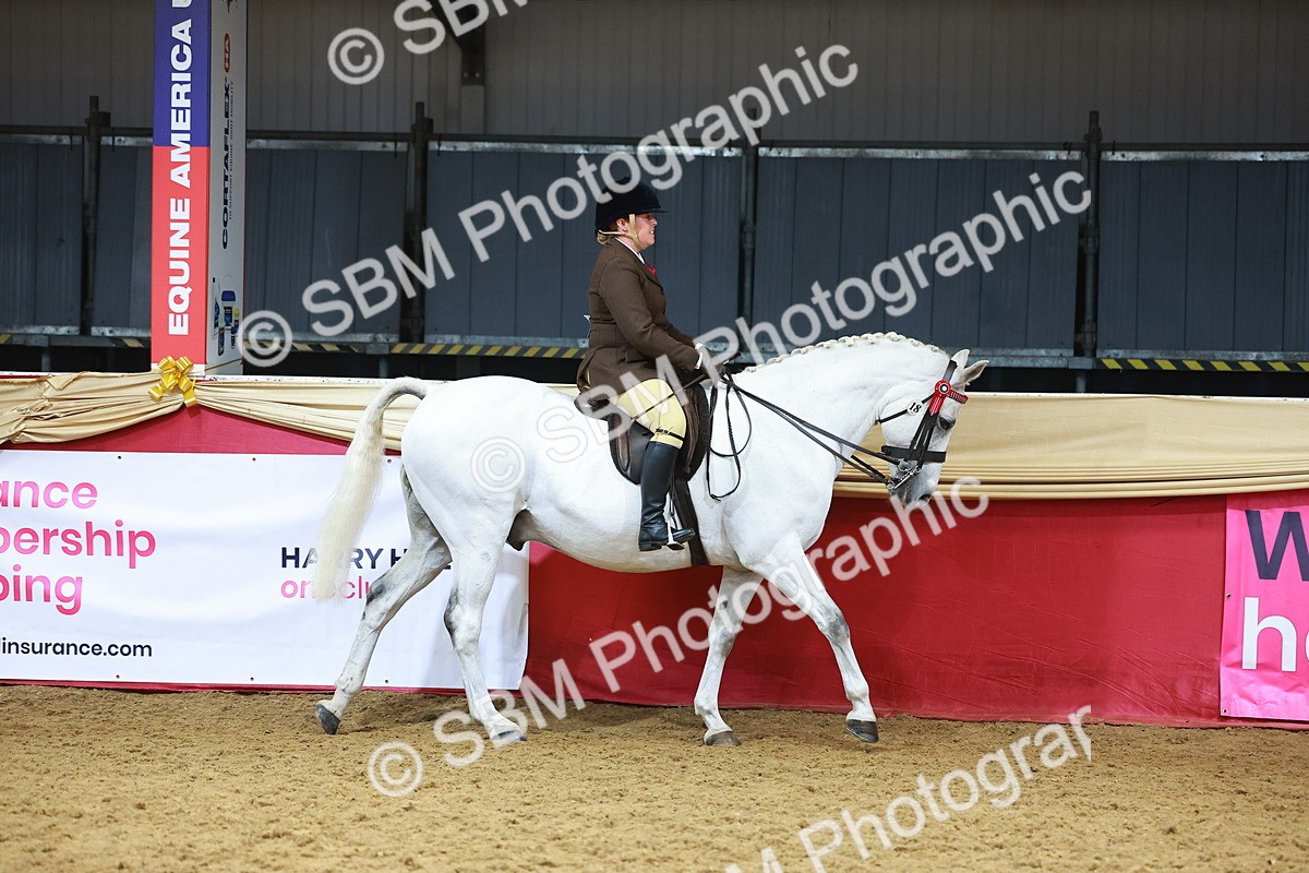 SBM_12385 - Class 103 - HOYS Veteran Qualifier - Ridden Pre Vet