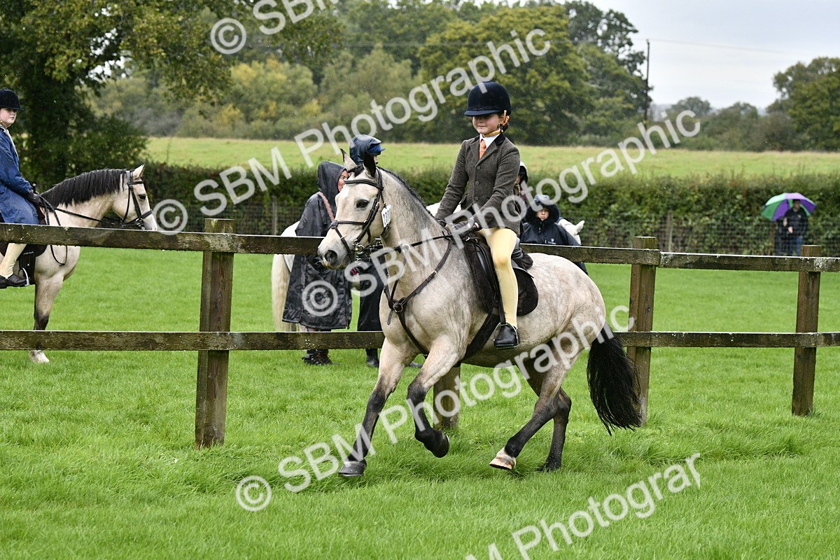 SBM_35543 - S30 - Nursery Stakes Working Hunter Pony