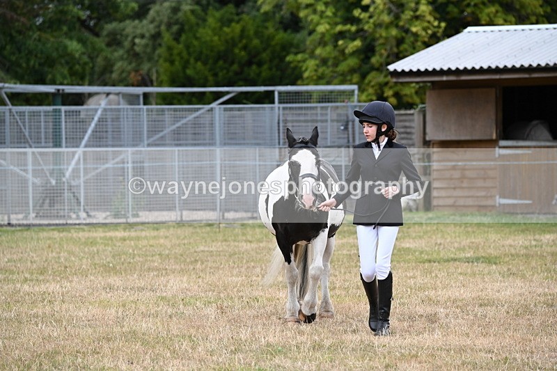 WJ6_4215 - Class 10 Coloured In-hand