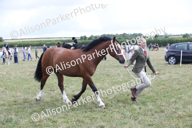 20250831-3039 - Class 23 - Child Handler