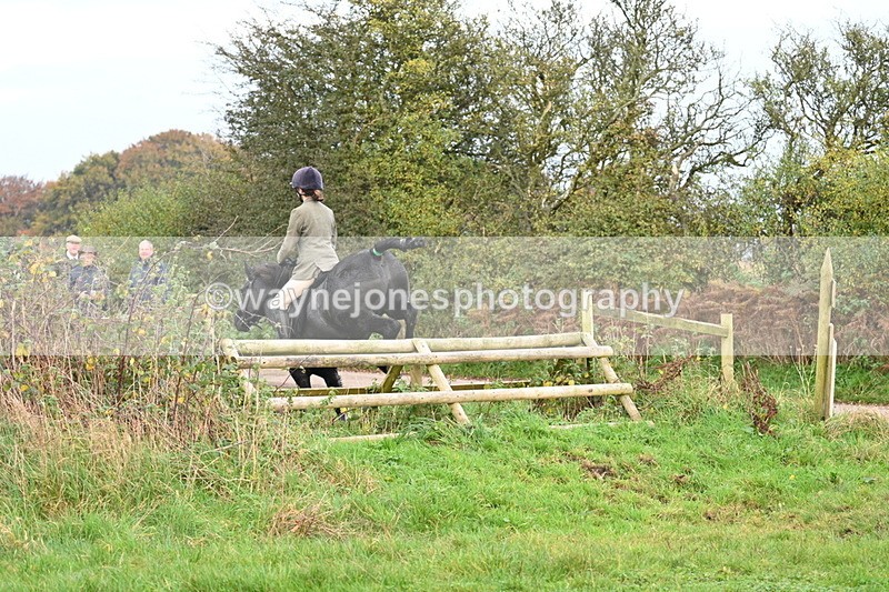 WJ7_0386 - Camera 1 & Last fence