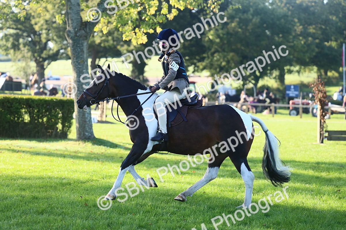 SBM_32233 - S28 - Nursery Stakes Working Hunter Pony