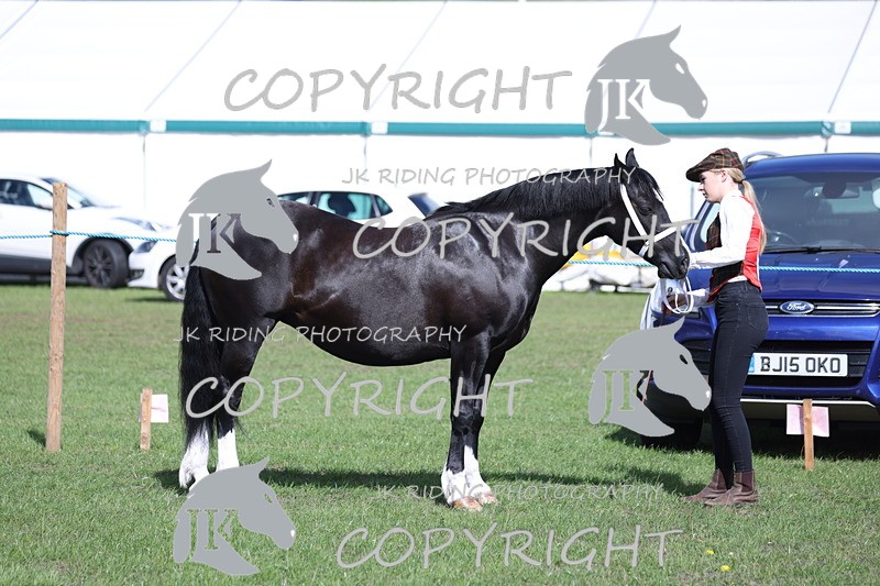 APP_2759 - Class 10a/b M&M in hand