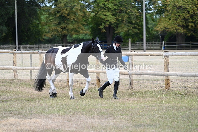 WJ7_8823 - Class 4a Prettiest Mare 14.2hh and over