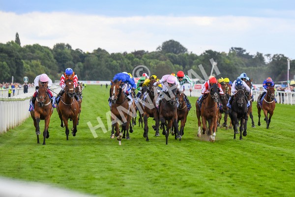 260823-Race 4-Absurde-0683 - Race 4 Sky Bet Ebor Handicap