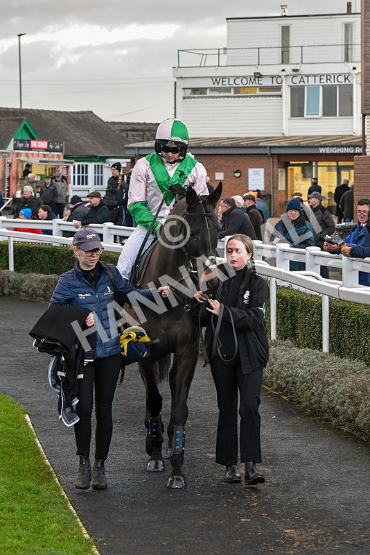 191223-Race 7-Wilful-9530 - Race 7