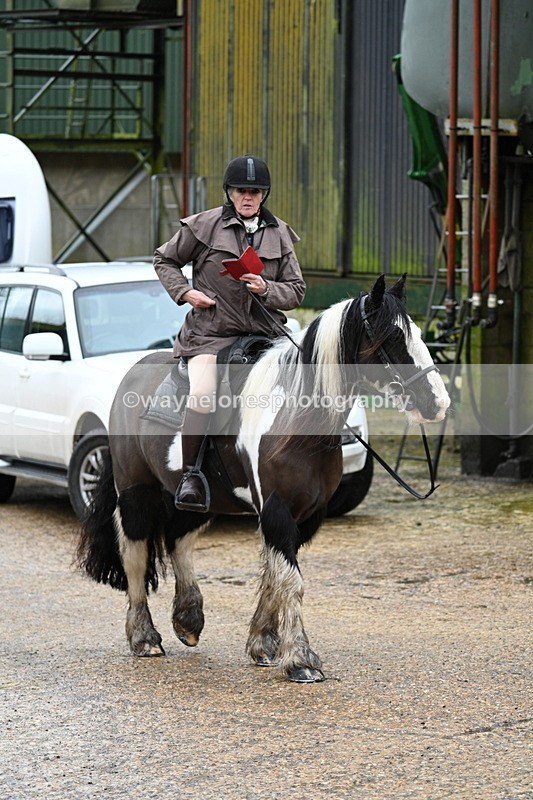 WJ7_8752 - Berks & Bucks - Rowles Farm 15-02-26