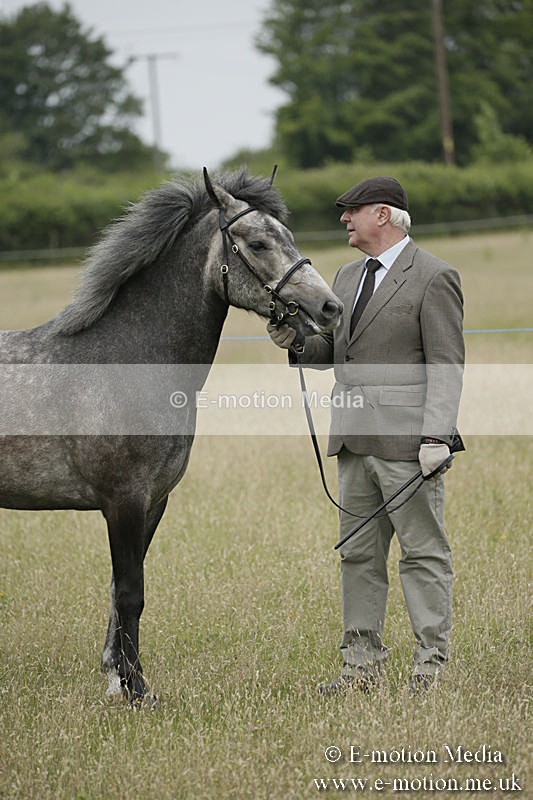 B230619-0041 - Bourne Valley Riding Club Summer Show 23/06/19
