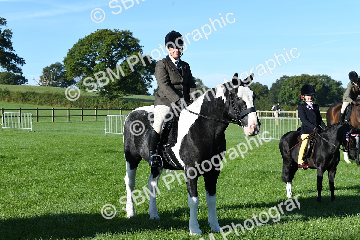 SBM_34031 - S16 - Condition & Turnout - Ridden