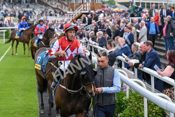150524-Race 2-Aleezdancer-3714 - Race 2 2.45pm Churchill Tyres Handicap