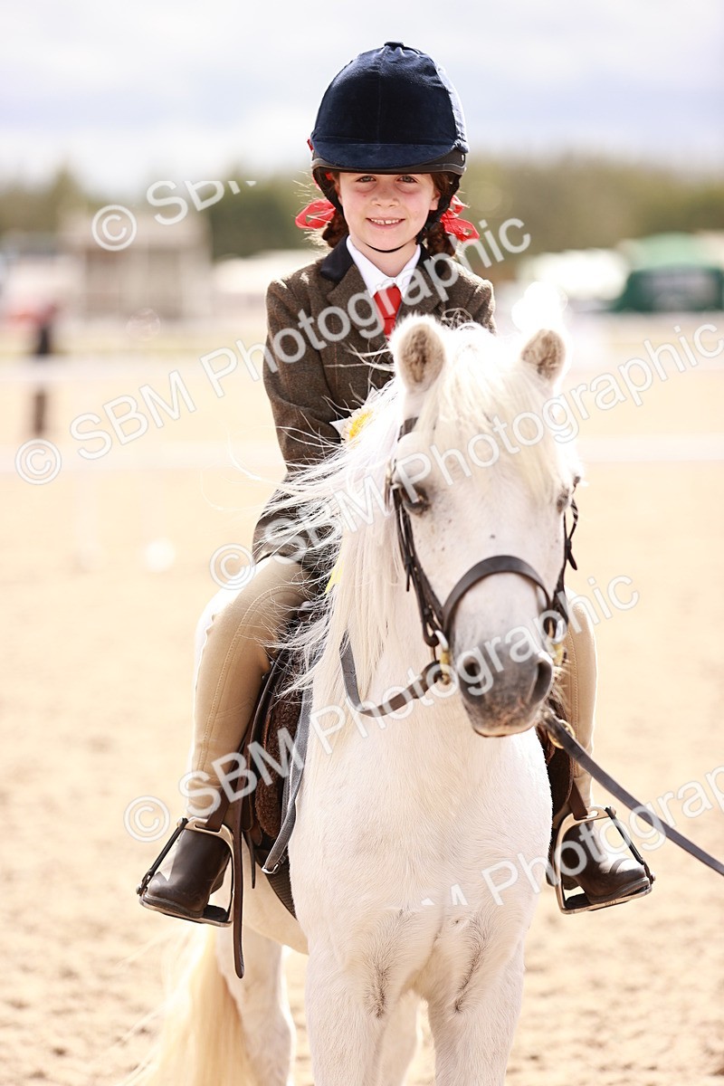 SBM_18347 - Class 417 - Handsome Gelding (IH or Ridden - JNR)
