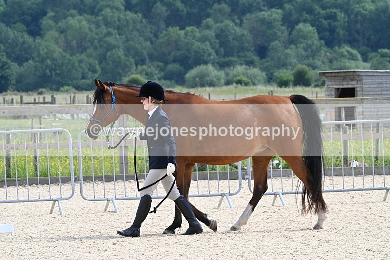 WJ7_8181 - Time 16:10 to 16:25