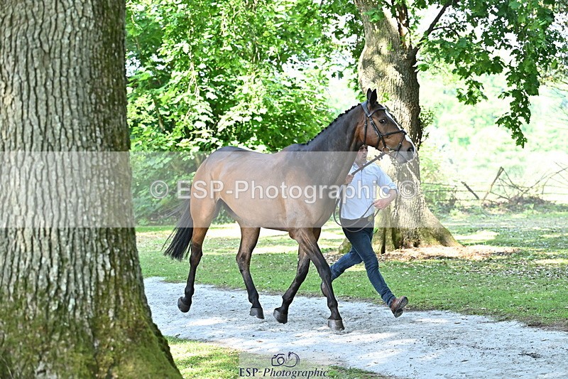 250521A-161039-00961 - C-207-Simon.Grieve-BEST.TRICK