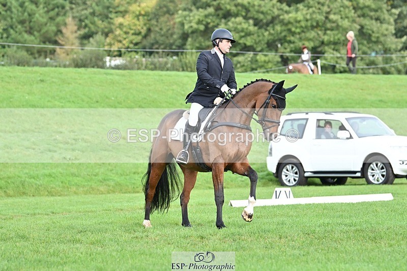 231020-101456-07570 - 683-ALVESCOT.FIVE.STAR-Mark.Ford-DR