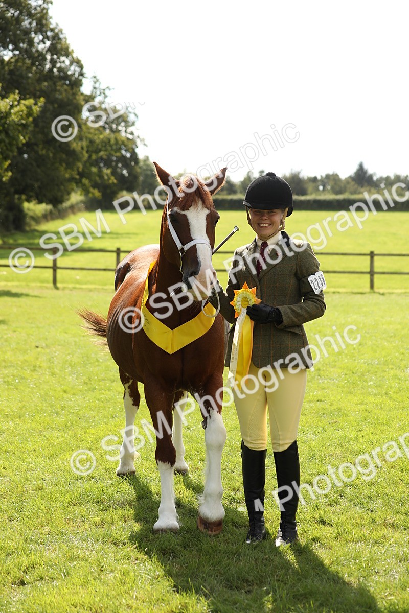 SBM_65515 - S47 - Mountain & Moorland In Hand Large Breeds