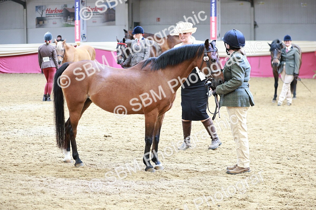 SBM_04843 - Class 7R - Regional IH Diamond