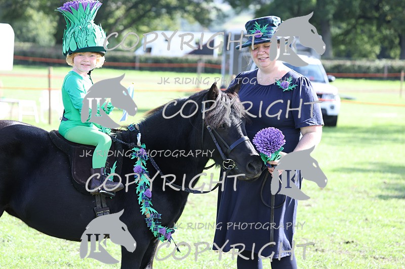 APP_4071 - Class 19 Fancy dress