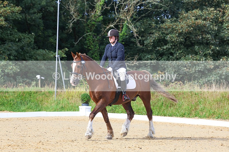 3E7A2213 - Class 1: Intro 4 2024 section A