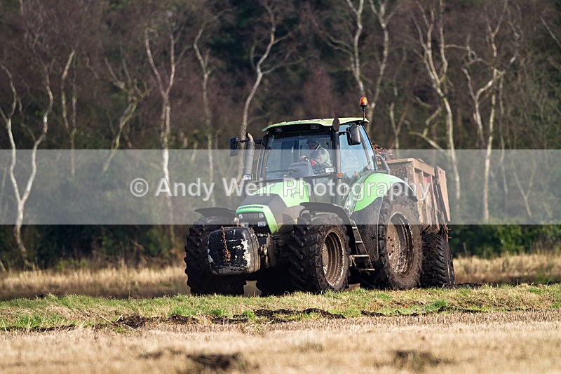 20130216-_MG_2353 - Miscellaneous Photographs