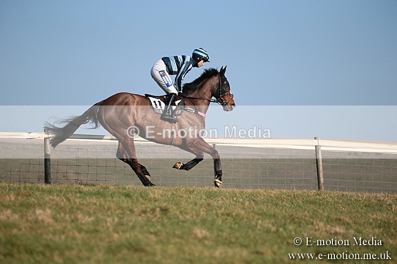 PtP 230219 407 - Vine & Craven Point-To-Point - Barbury 23/02/19