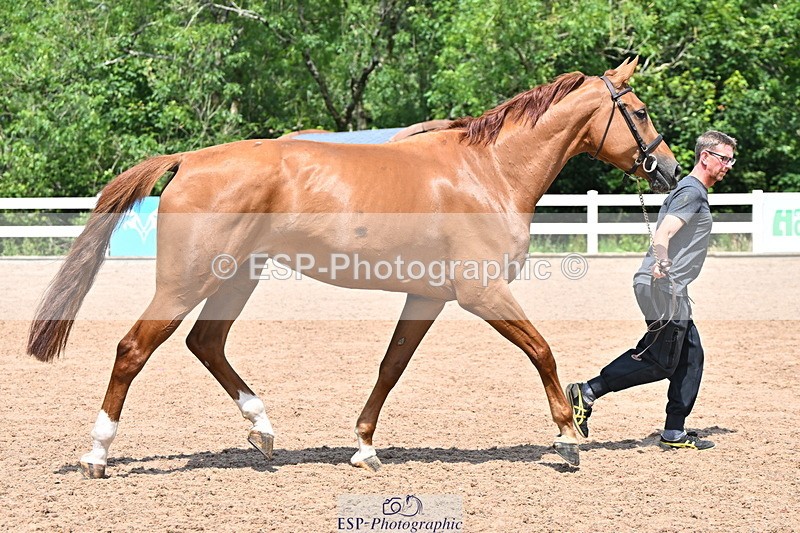 240718A-105318-01826 - Trot Up 1pm to 2pm